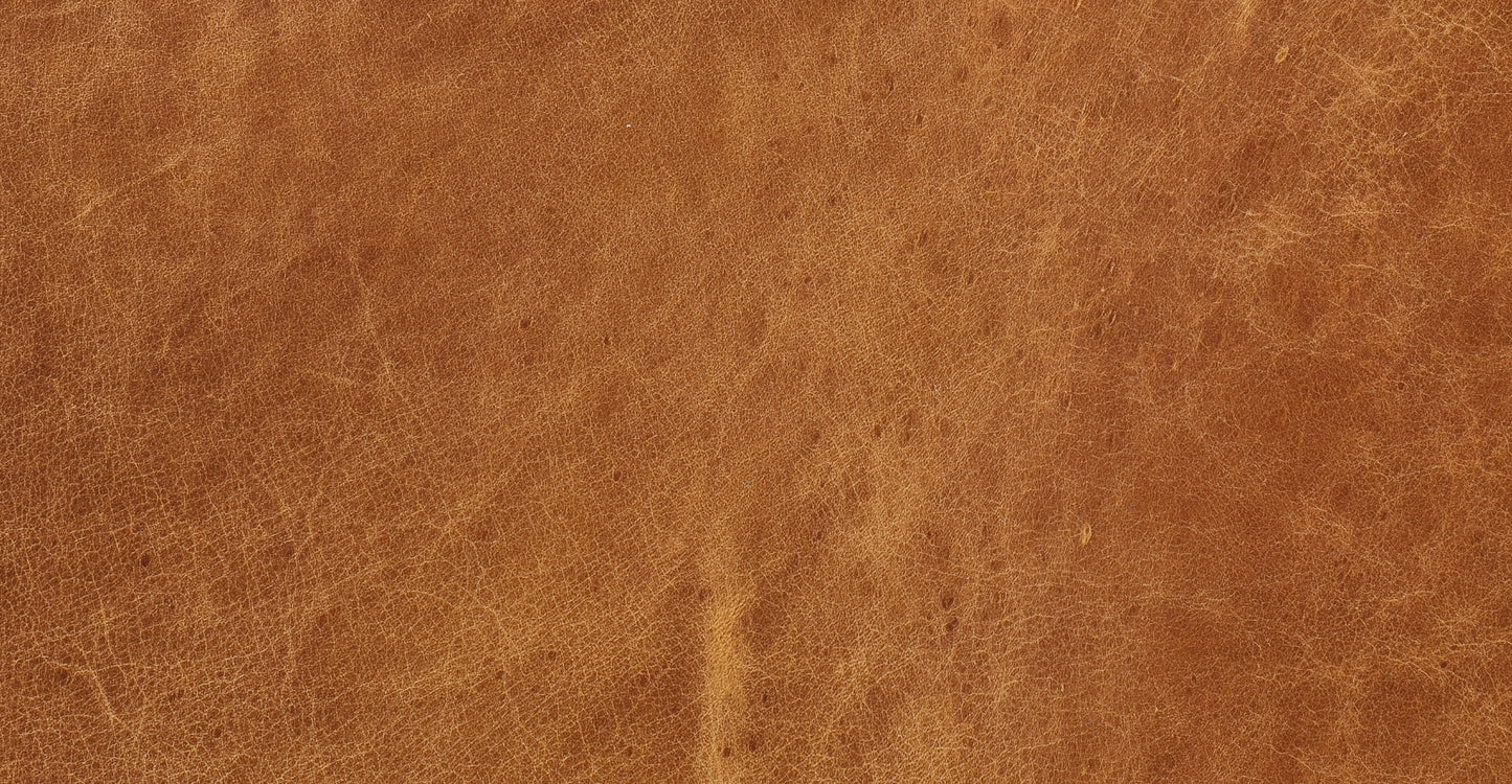 Poltrona in pelle Mateo